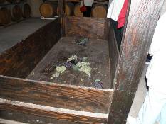 09_Hawaii_3 445.jpg (59687 bytes)